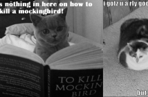 This is the Cat Fiction You’ve Been Waiting For Since the Birth of the Internet literary journal new world writing andrew nicholls