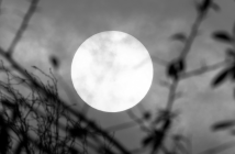 Seth Fried Understands the Internet and Prisons haydens ferry review literary journal