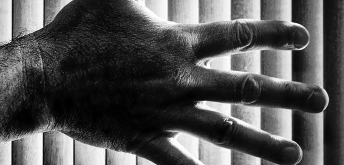 Mutual Testament by Greg Koehler via Ninth Letter ninth letter literary journal greg koehler poem