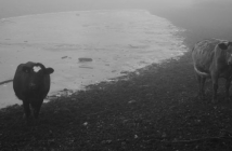 The Death of Jacob Delaney by Jon Sealy via South Dakota Review jon sealy fiction