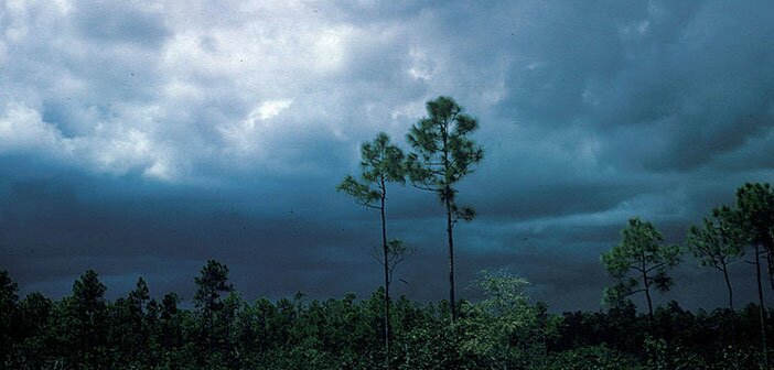 Chamber Music by Jordan Zandi via Little Star jordanzandi3